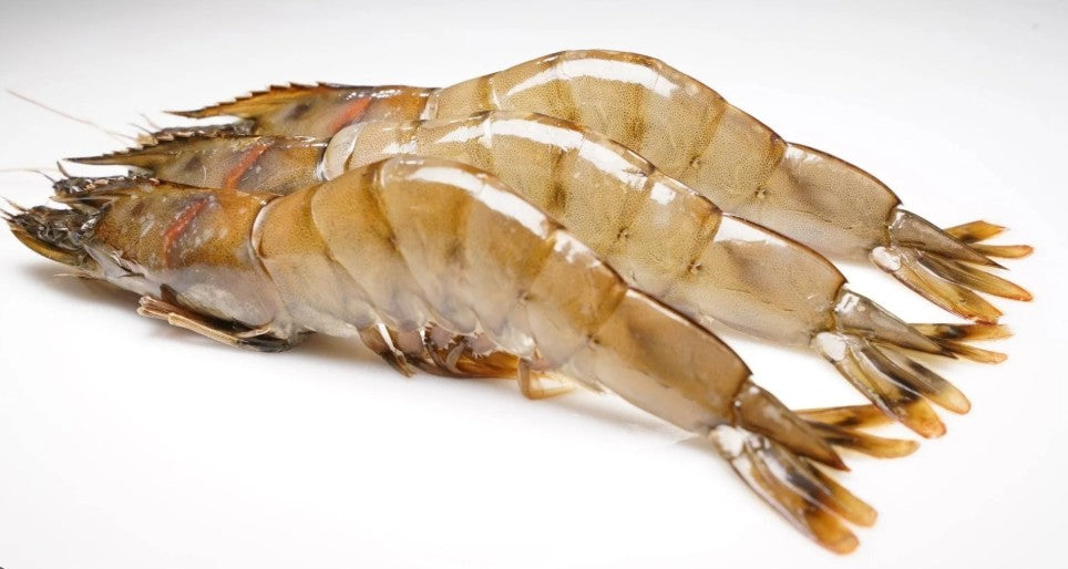 Honolulu Fish Co. - Kauai Prawns - $38.99 per LB