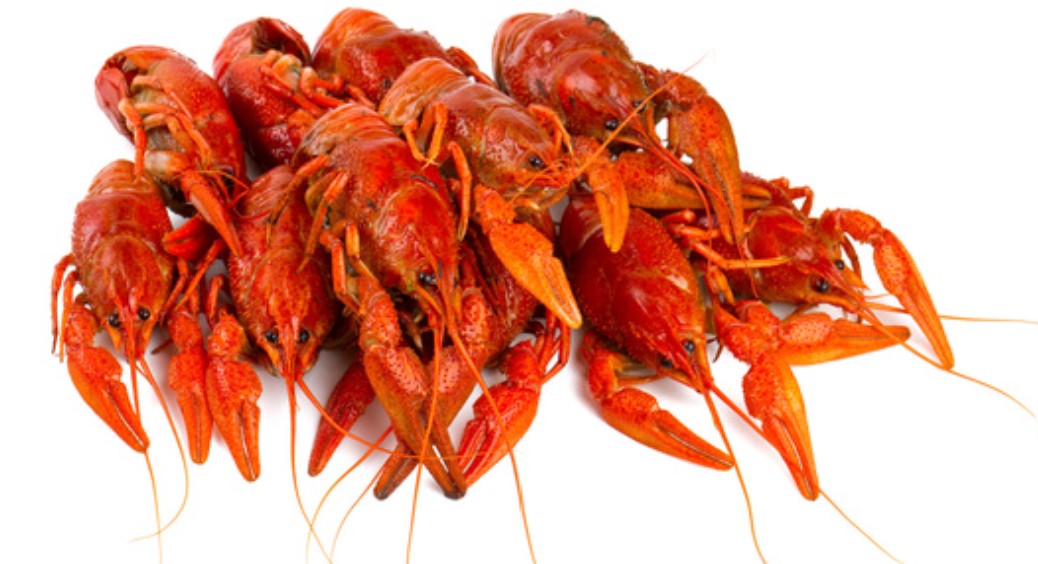 Jackson's - Crawfish Cooked - $7.99 per LB