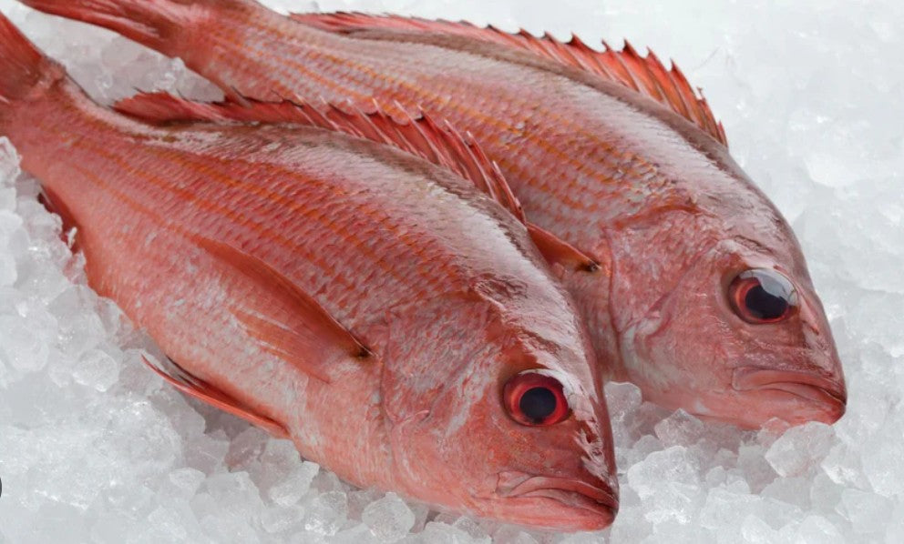 Jackson's - Whole Red Snapper - $22.99 per LB