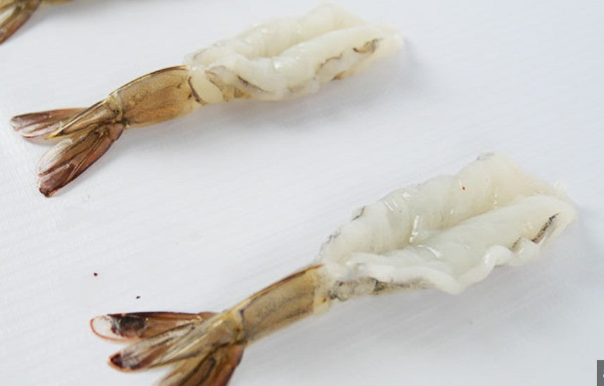 Portico Classic - White Shrimp Butterfly - 11.99 per LB