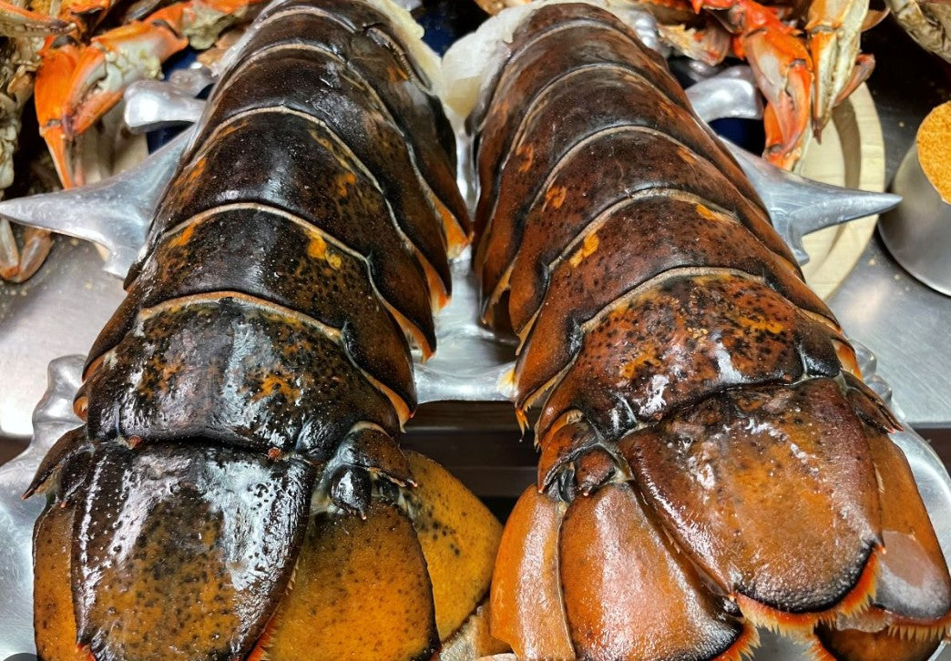 Portico Pride - Maine Lobster Tails 7-8oz. - $32.99 per LB