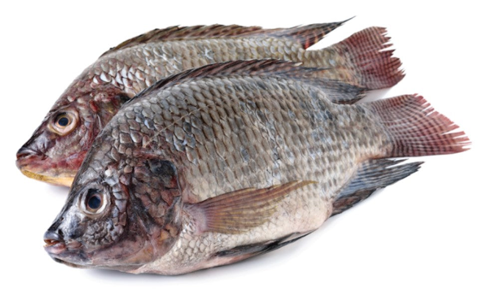 Whole Tilapia $7.99 per LB