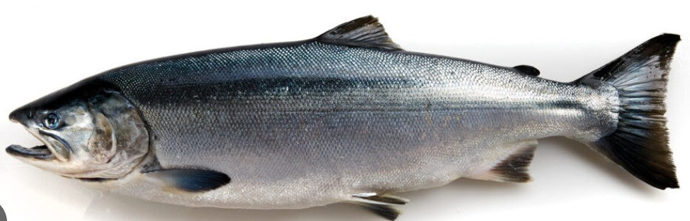 Bay of Fundy - Salmon - $15.99 per LB