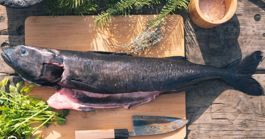 Honolulu Fish Co. - Black Cod - $39.99 per LB