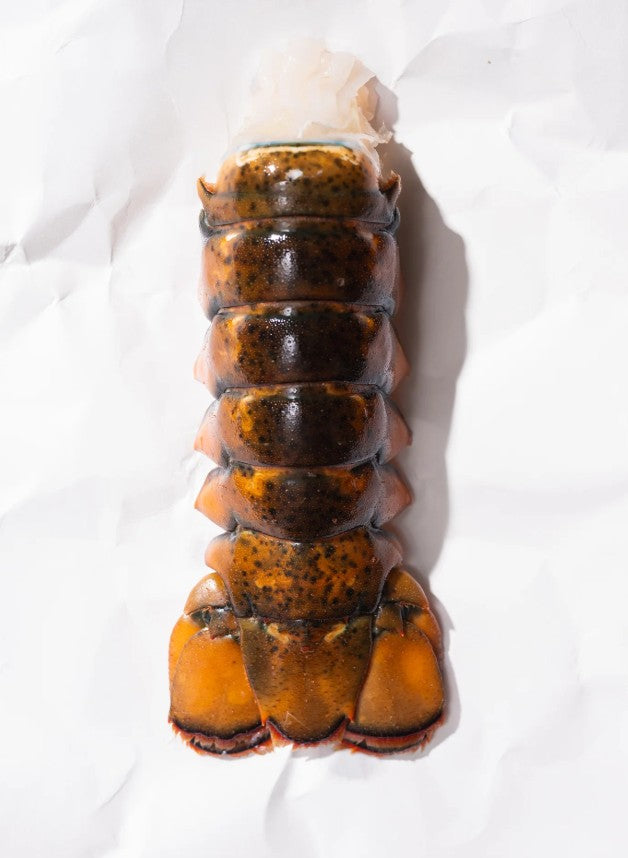 Portico Pride - Maine Lobster Tail - 4-5oz. - $32.99 per LB