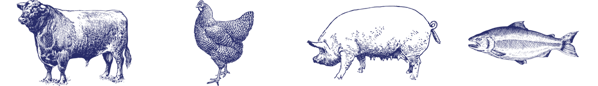 Illustrations of a cow, chicken, pig, and fish in a row.